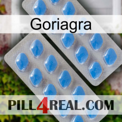 Goriagra 23